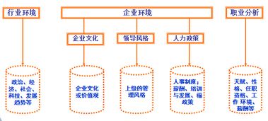 学业规划家庭环境分析