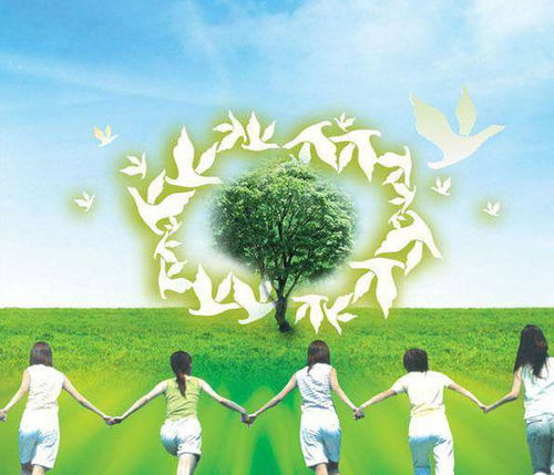 家庭环保项目实践活动：推动绿色生活的启示与影响