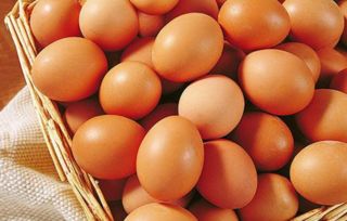 素食鸡蛋替代品蛋黄果
