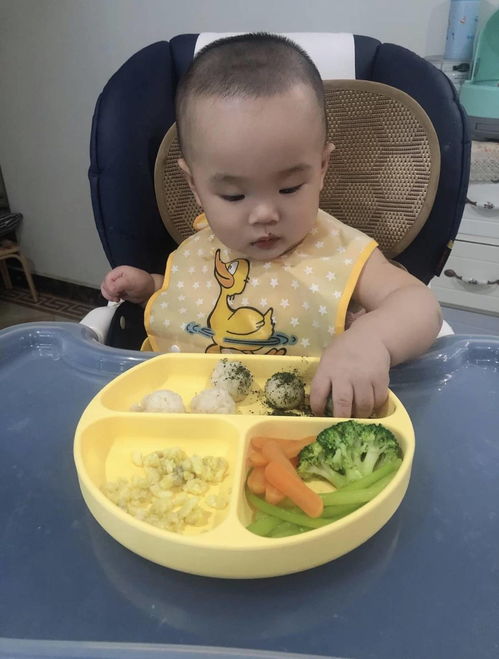 宝宝自主进食餐盘怎么选