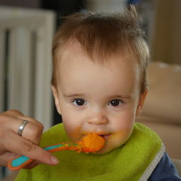 宝宝自主进食吃什么食物